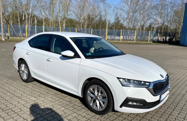 Skoda Octavia cena 64899 przebieg: 187000, rok produkcji 2020 z Bydgoszcz małe 137